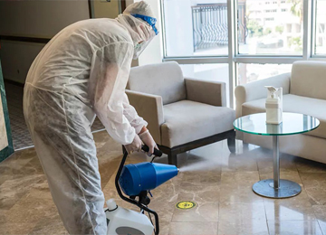 Pest Control Services