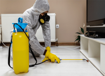 Sanitization Services