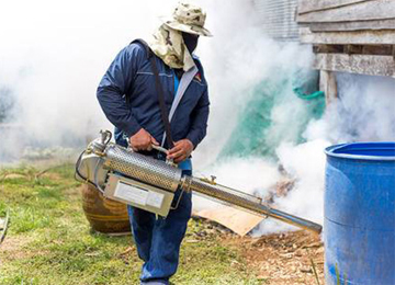 Fumigation Services